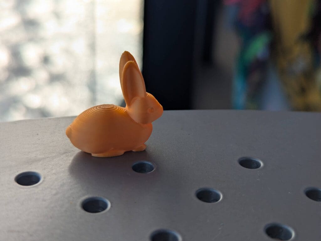 cruise... bunny?